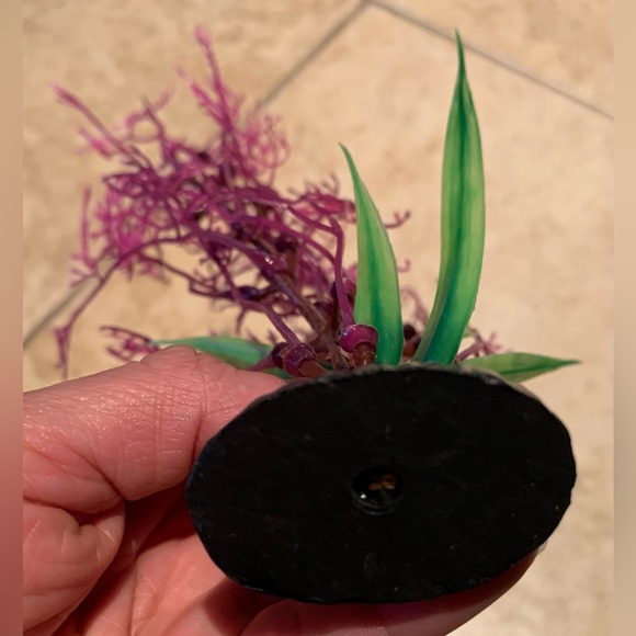 Top Fin Coral Aquarium Plant - Picture 8 of 8